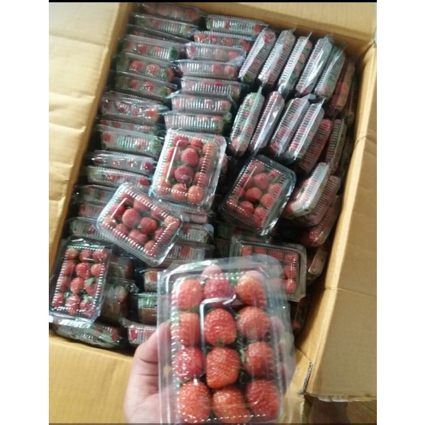

Strawberry Fresh 3.500