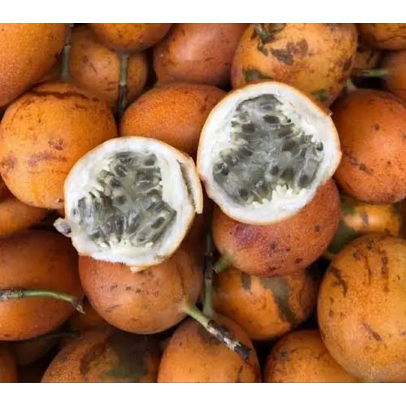 

Markisa Madu 1 kg