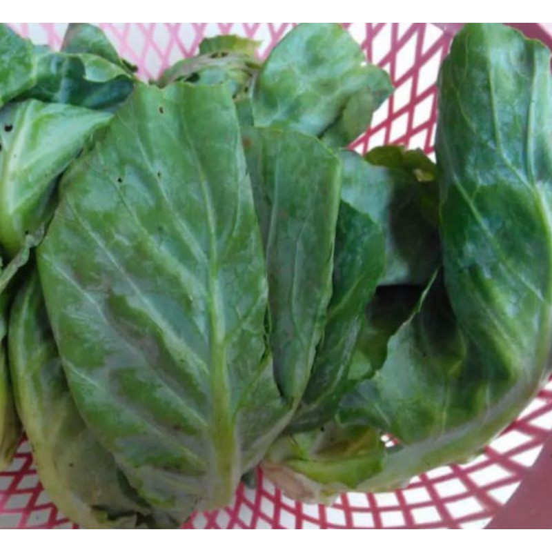 

Ceciwis/ Cuciwis/ Keciwis/ Ciwis 250 gram