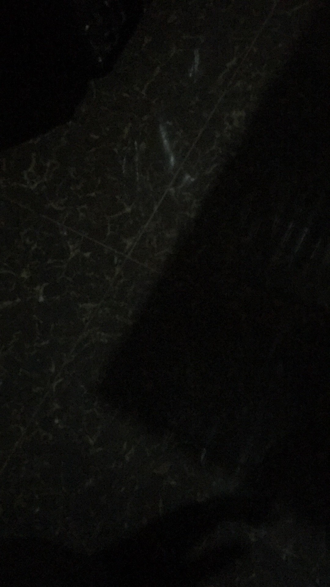 Setelan Sarung Macan Mojang Kemeja _sarung Batik_sarung Batik Pekalongan