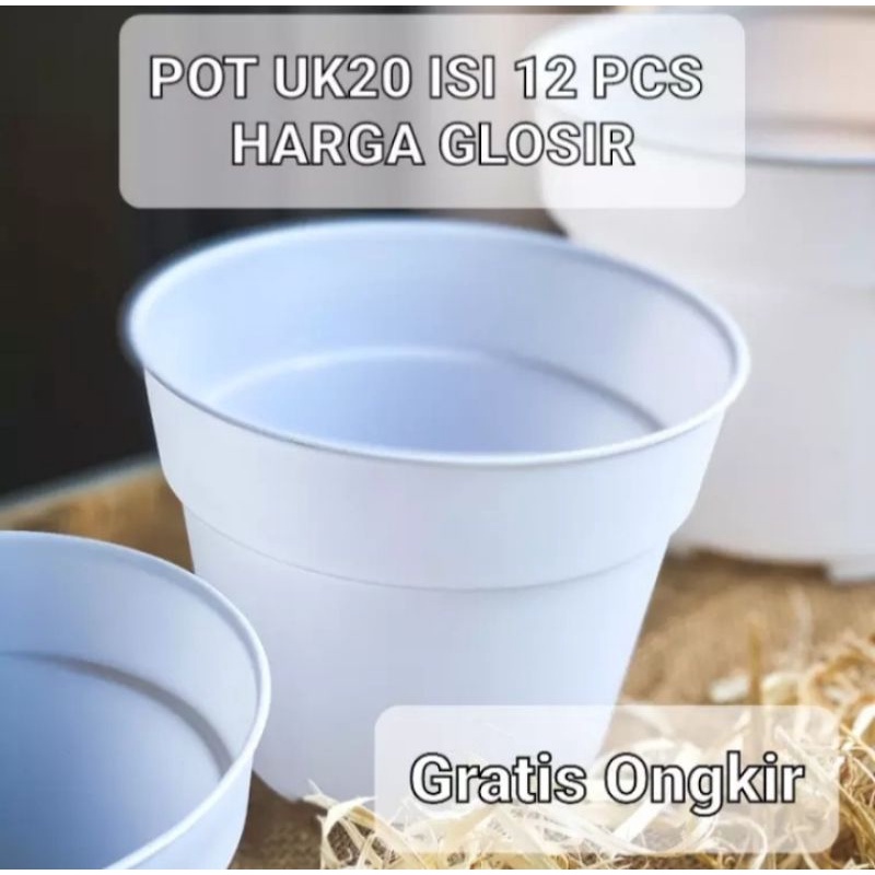 POT BUNGA UK25 (diameter 22cm) ISI 1 LUSIN DAN POT PUTIH UK20 (DIAMETER 18 CM)