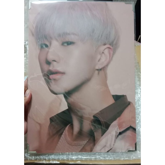 [SEVENTEEN] Hoshi Spider Merch Photo Premium