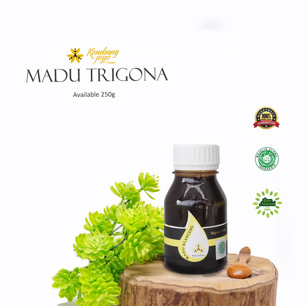 

Madu Kembang Joyo - Madu Trigona 350 gram