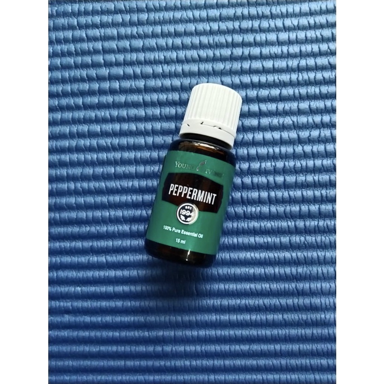 Jual BIG SALE OIL YOUNG LIVING PEPPERMINT 15 ml | Shopee Indonesia