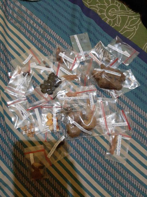 Biji Benih Buah Asem Londo   Asam Belanda Buah Merah  10 Biji