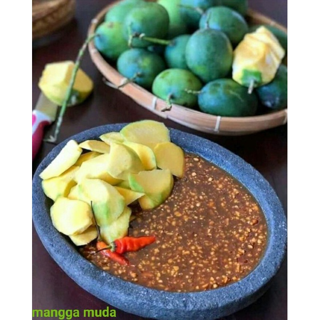 

Mangga Muda Rujakan 1 KG