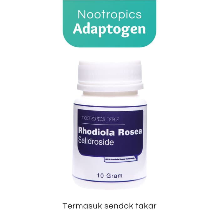 Rhodiola Rosea Salidrose Meningkatkan Mood Energi Nootropics Depot ORIGINAL
