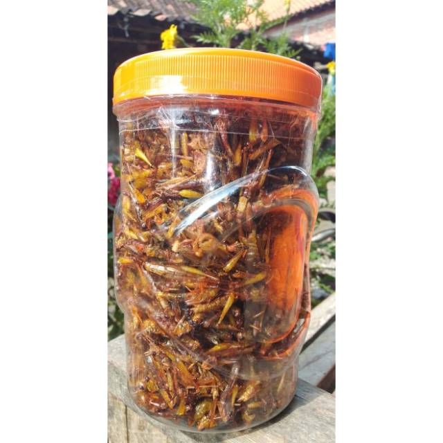 

BELALANG GORENG . TOPLES SONIC BESAR ISI FULL