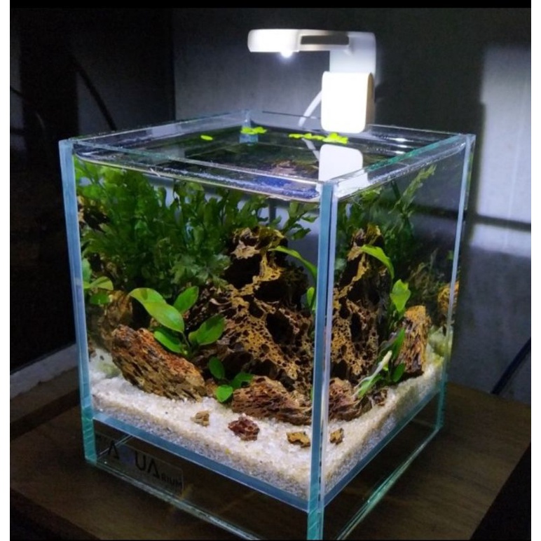 Lampu Soliter Cupang Lampu Aquarium Mini