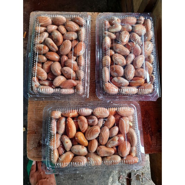 

biji beton biji nangka fresh /500 gram