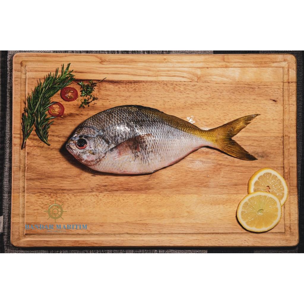 

IKAN EKOR KUNING 600 gr