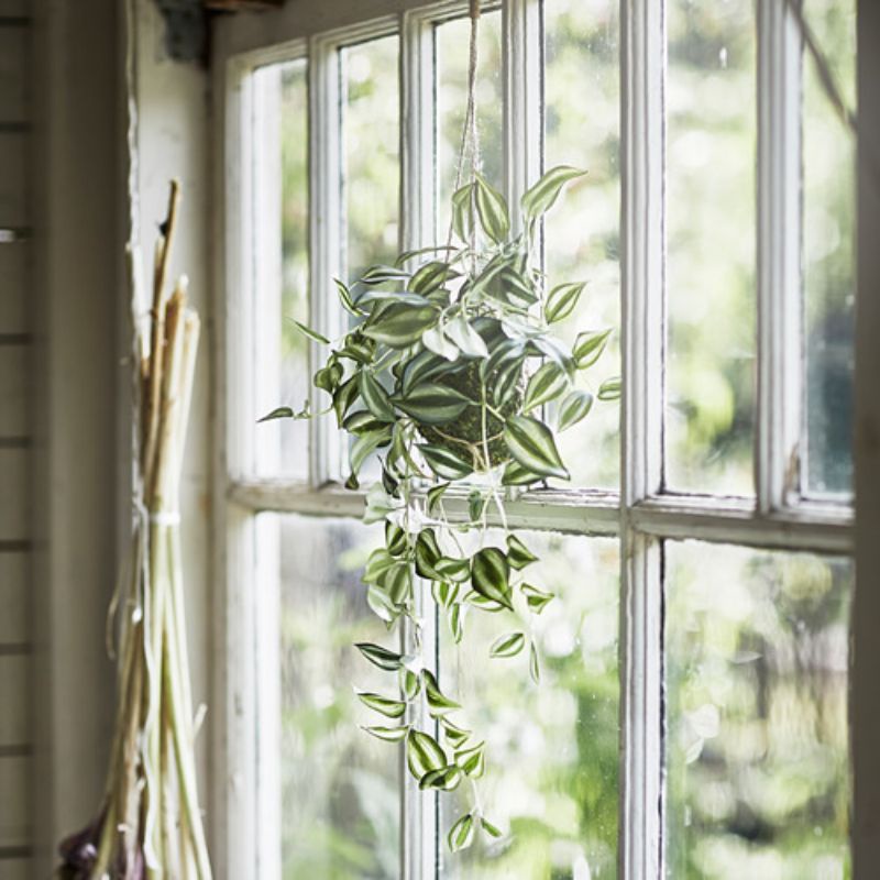 TANAMAN PLASTIK GANTUNG