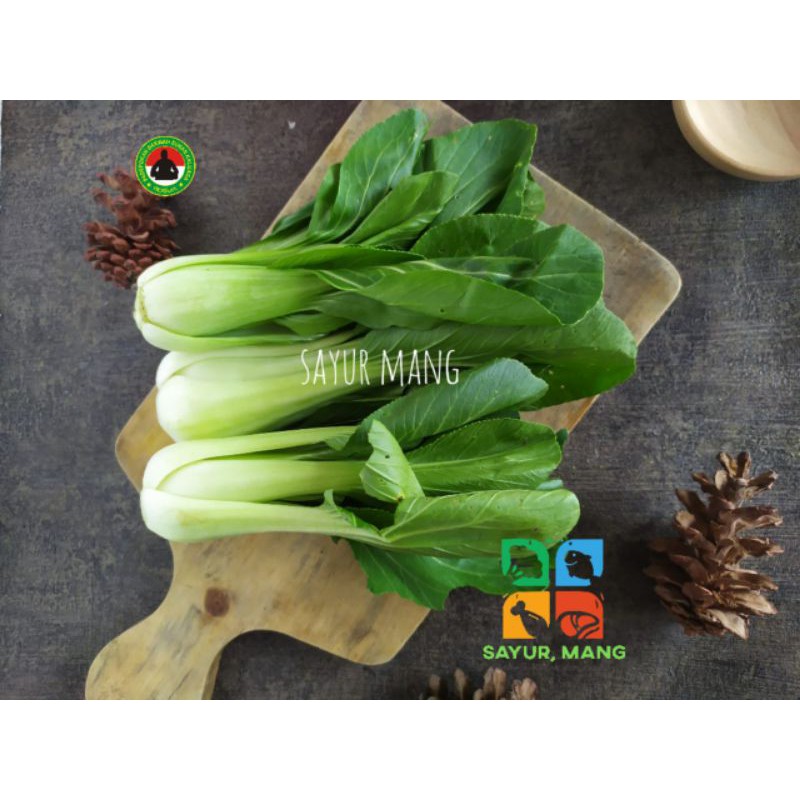 

Pakcoy 250 gr I Sayur Mang