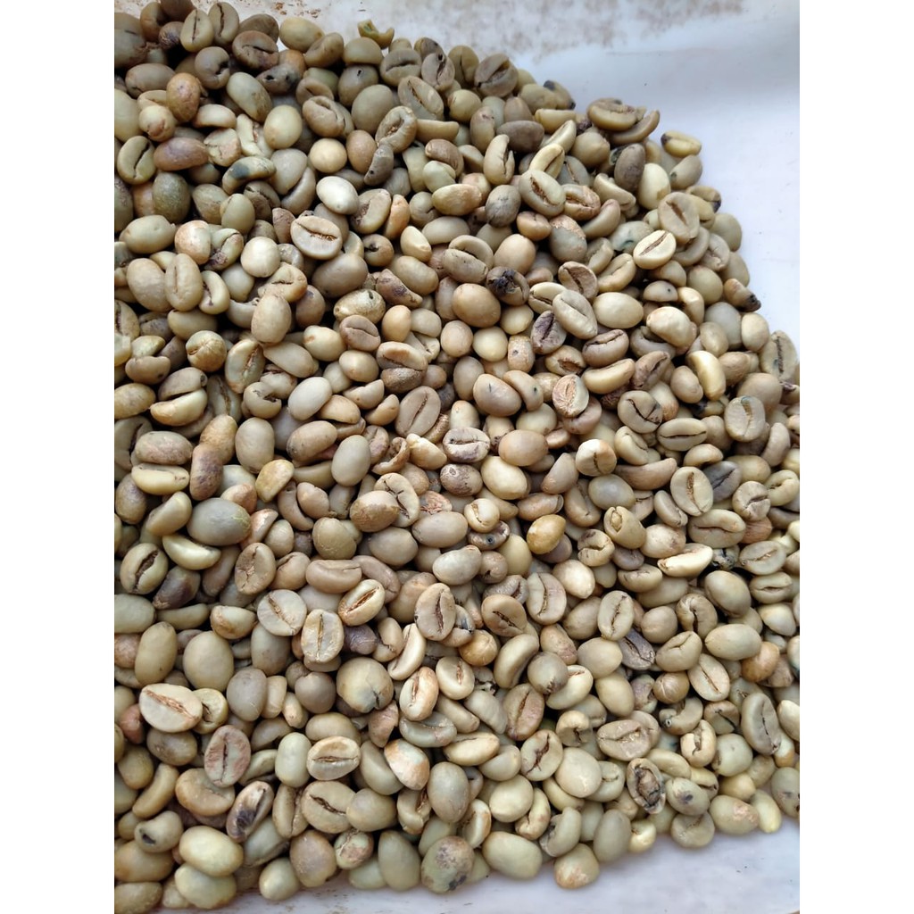 1kg biji kopi mentah robusta wilis asalan non sortir