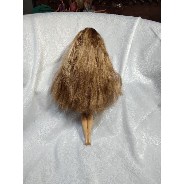 barbie rayla the princess mohon bertanya dahulu