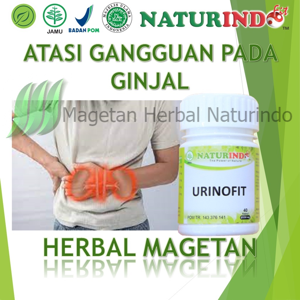 Obat Batu Ginjal Herbal Gagal Ginjal Obat Ginjal Herbal Gagal Ginjal Herbal Batu Ginjal Membantu Men