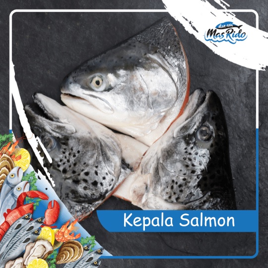 

Kepala Salmon Fresh Segar Kwalitas Super Harga Murah Per Buah