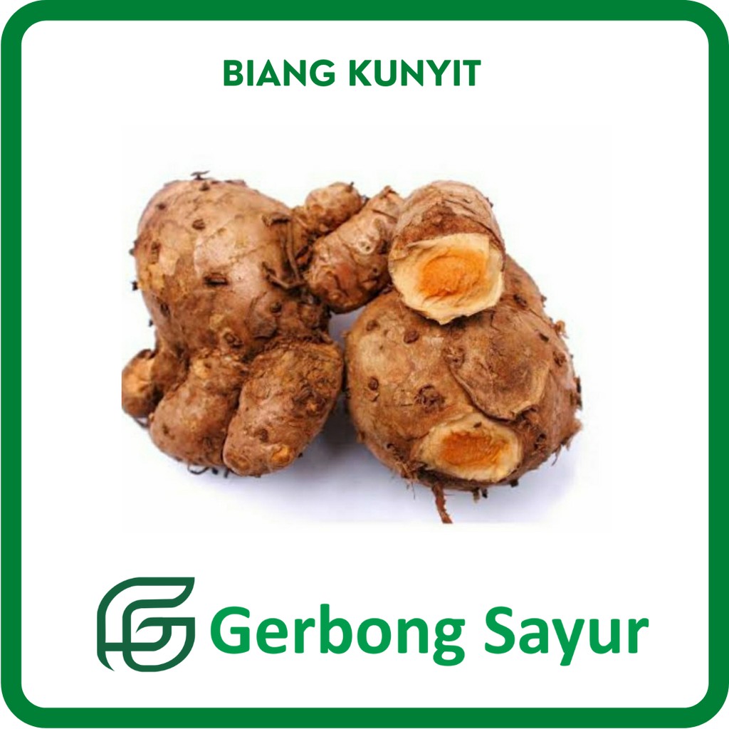 

Bumbu Biang Kunyit Segar - 250g