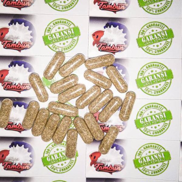 sale// Telur kutu air moina macrocopa /per  kapsul Termurahж