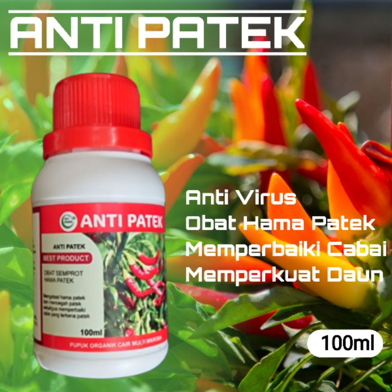 Pupuk Fungisida Organik Hama Patek Obat Cabai Anti Patek Obat Semprot Hama Cabe Cair Anti Virus - Me