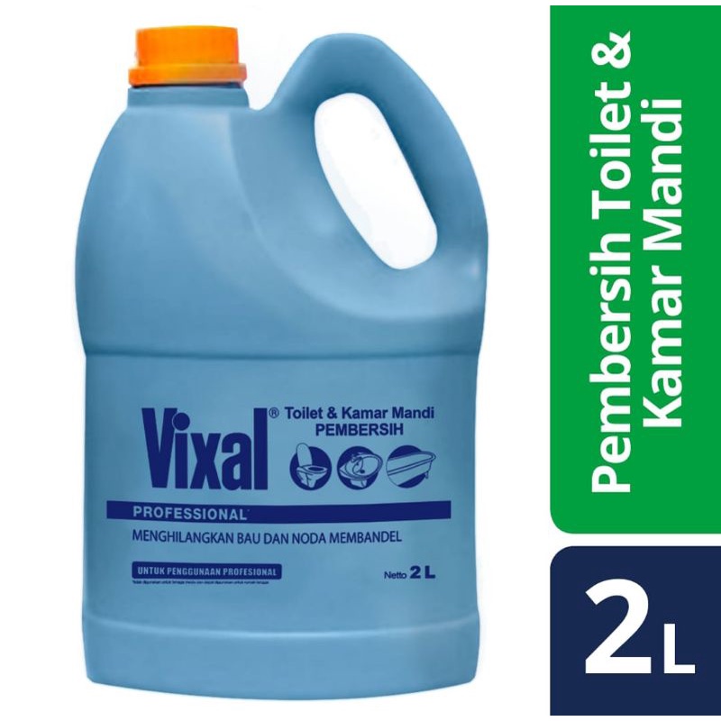 vixal 2 L