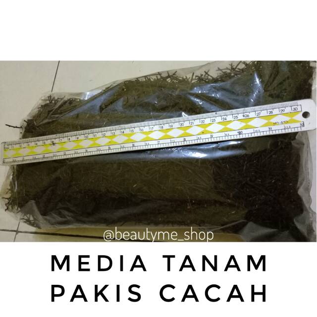 Media Tanam Akar Pakis Cacah/Media Tanam Anggrek Aglonema Tanaman Hias