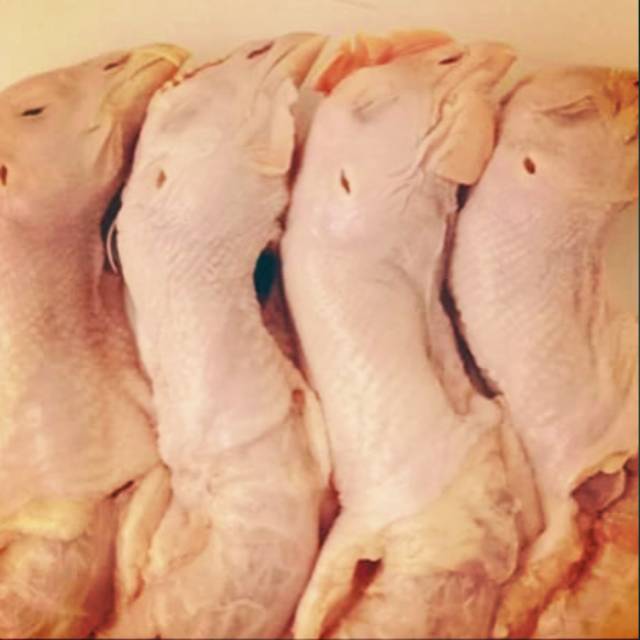 

Kepala Ayam Bersih Segar