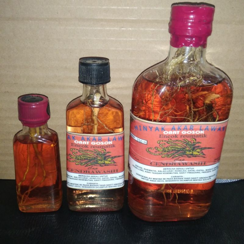 Minyak Gosok Akar Lawang Papua Asli