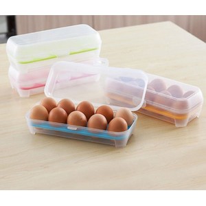 Egg Box isi 10 / kotak telur