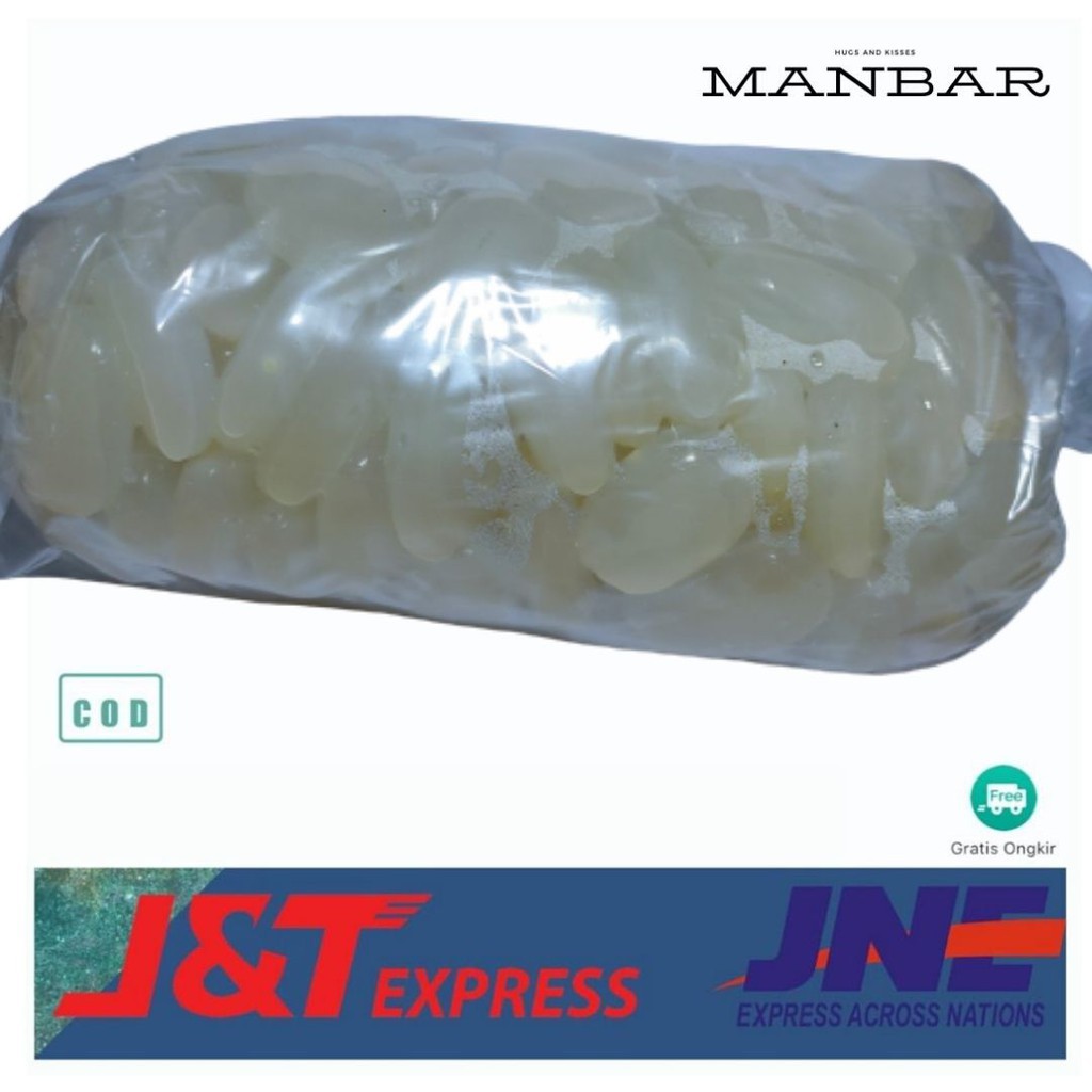 

terabaru Kolangkaling fresh kolang kaling fresh 100 % asli 1 KG segar