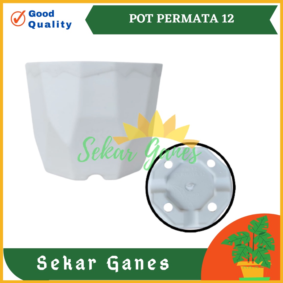 Pot Permata 12 Putih Da 10.5cm Garden Of Love Pot Kaktus Sukulen Mini Murah Bkn Pot Tawon 10 12