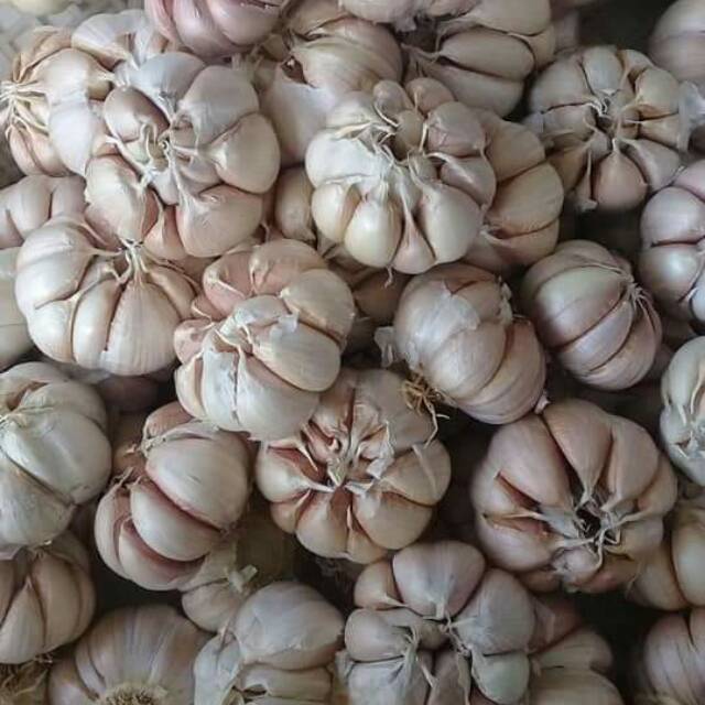 

Bawang Putih 500gram