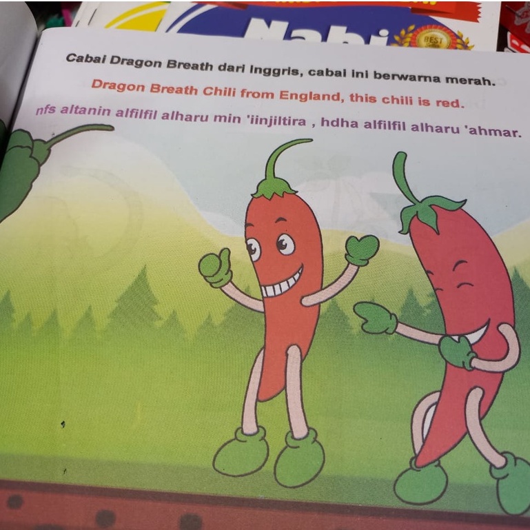 Buku Cerita Pendidikan Untuk Anak Seri Aku Suka Sayuran - Mengenal Syur / Mengenal Buah