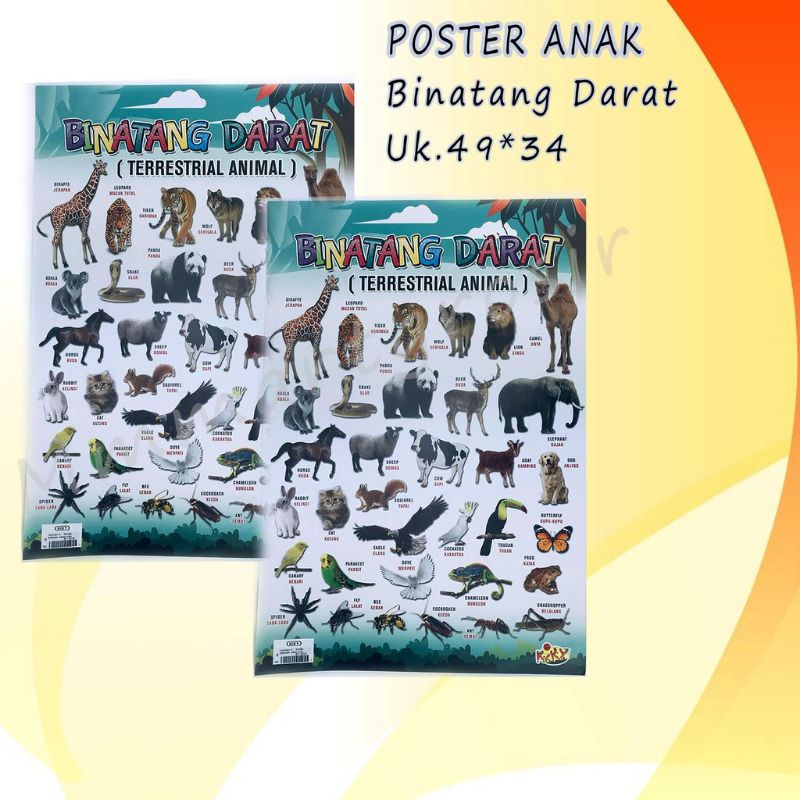 Poster Anak Edukasi/ Poster Kiky/ Poster Belajar Anak