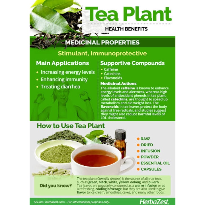 

ELIF TEA AND TISANE Garcinia Green Tea Super Diet Detox Slim Teh Peluntur Lemak 30 Tea Bag