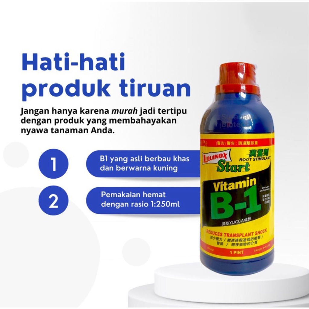 Liquinox Start Vitamin B1 Taiwan 946ml Pupuk Tanaman Transplant ASLI