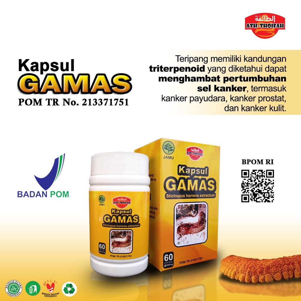 PROMO Kapsul GAMAS Gamat Emas Ath-thoifah Original 100% bisa COD Kapsul gamat emas isi 60 kapsul