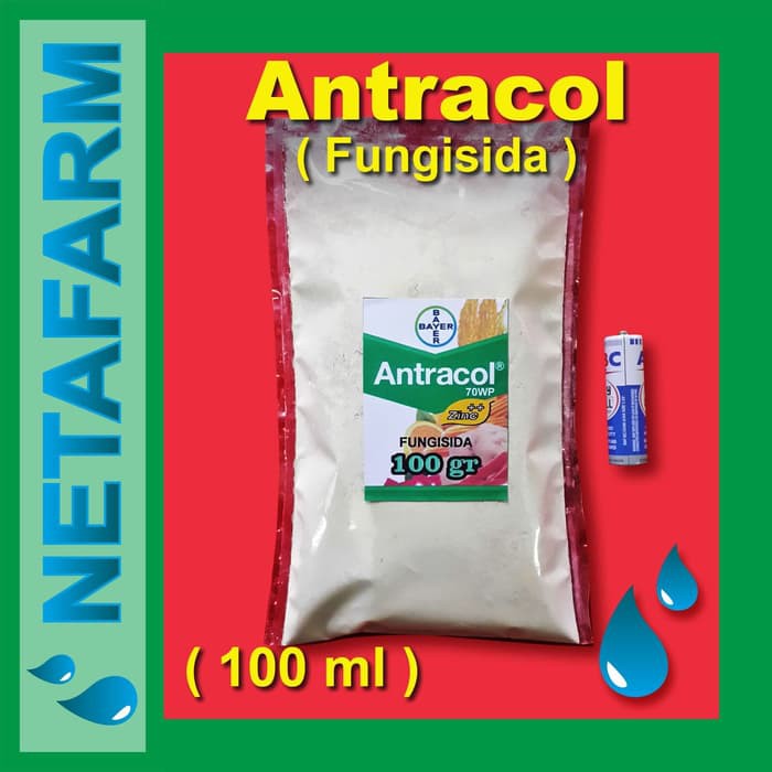 Fungisida ANTRACOL 70 WP - Kemasan 100 gram (Repacking)