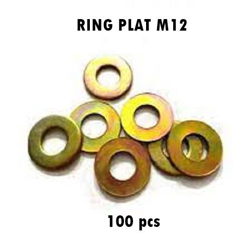 RING PLAT M12 - RING PLAT BAUT M12 ISI 100 PCS