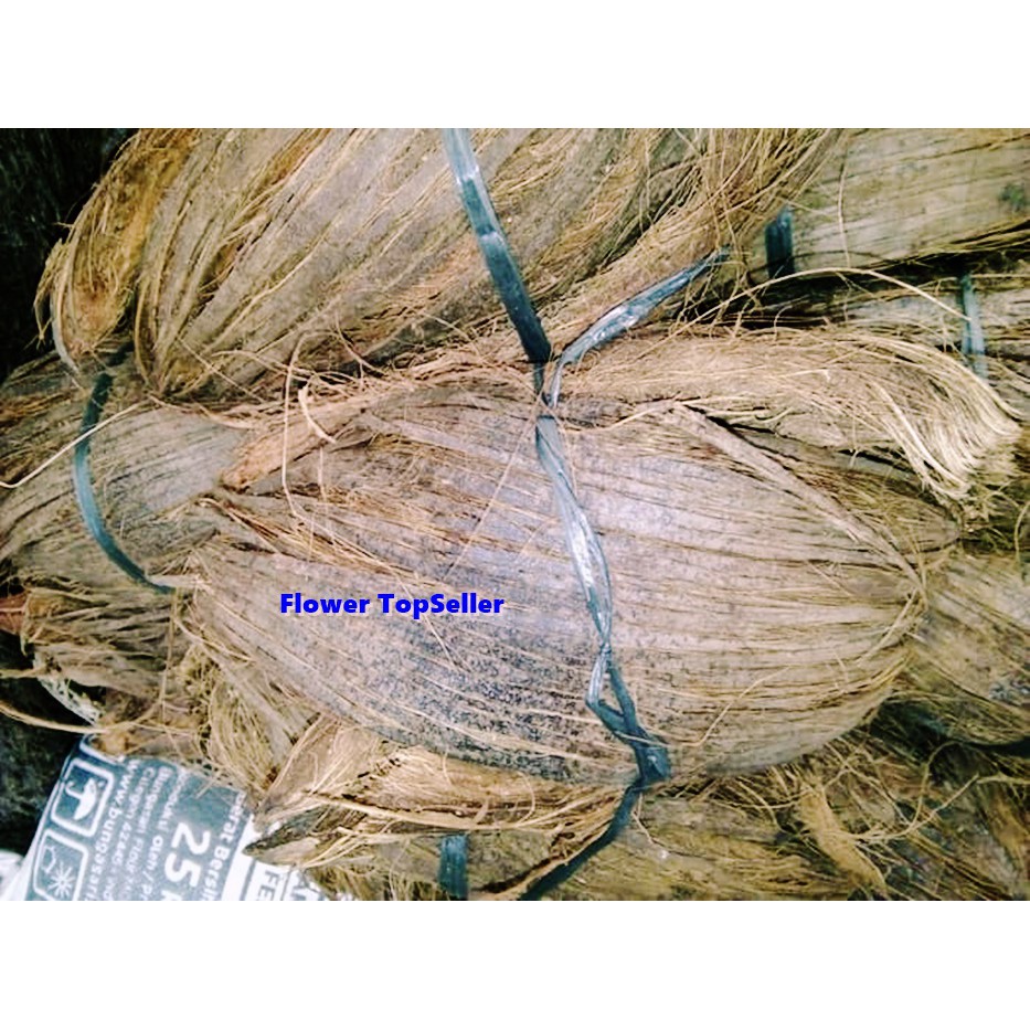 Sabut / Serabut / Sabut Kelapa / Serabut Kelapa