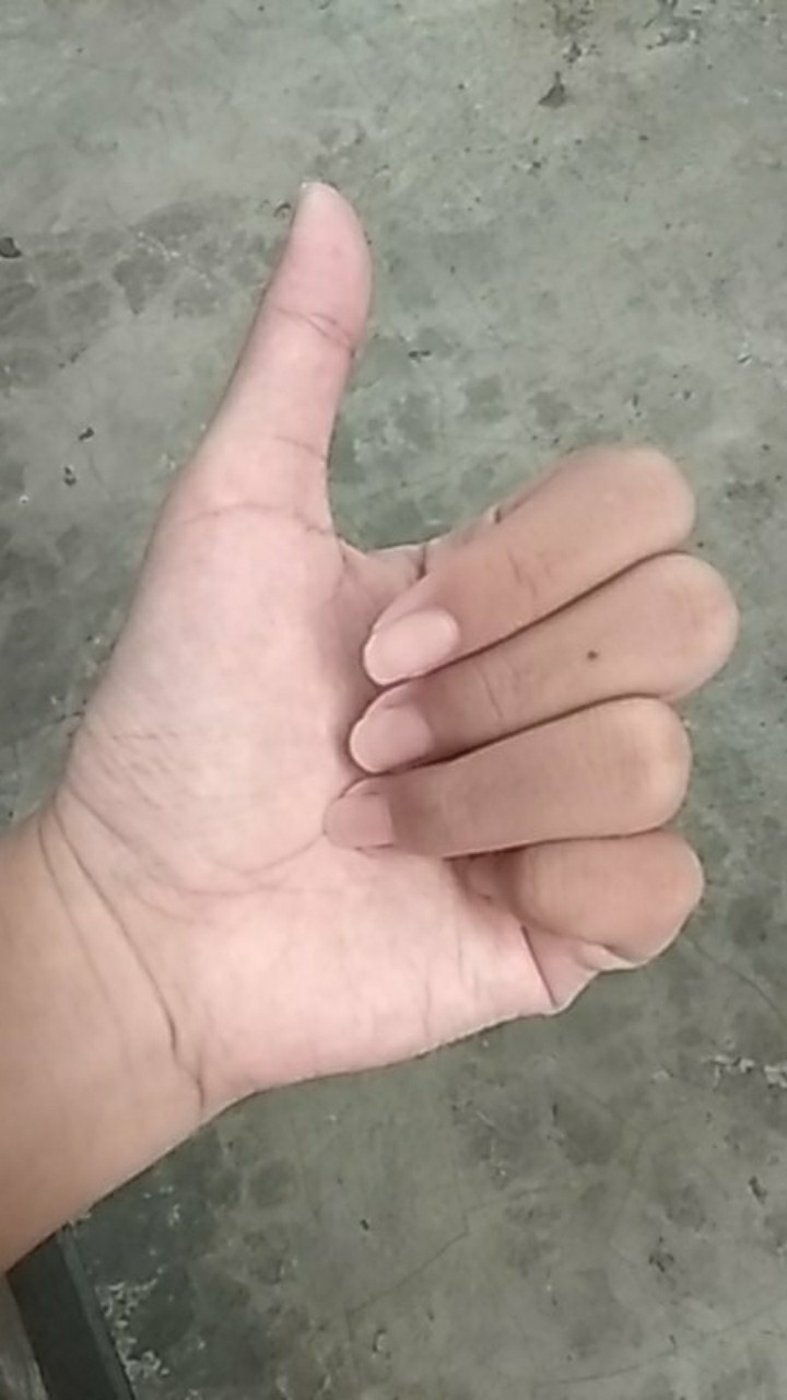 Dempul Hiu Woodfiller Hiu Dempul Kayu Waterbase Warna Putih Dempul Putih Untuk Jati Belanda Praktis