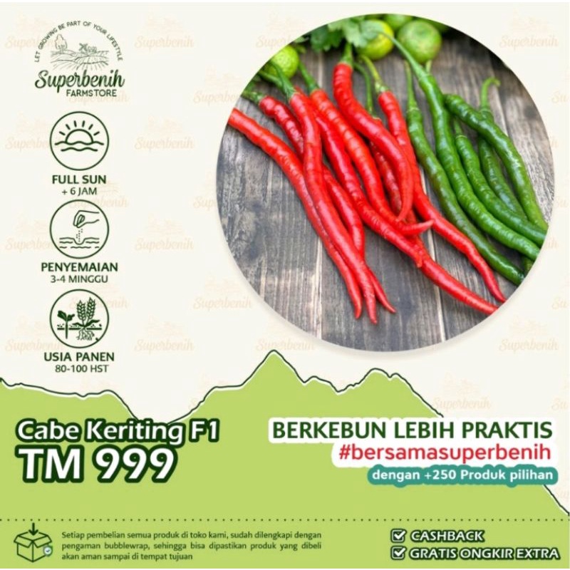 15 seeds Benih Bibit Biji Cabe Keriting TM 999 F1