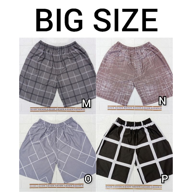  BIG SIZE Celana  Kolor  Celana  Pendek Celana  Boxer 