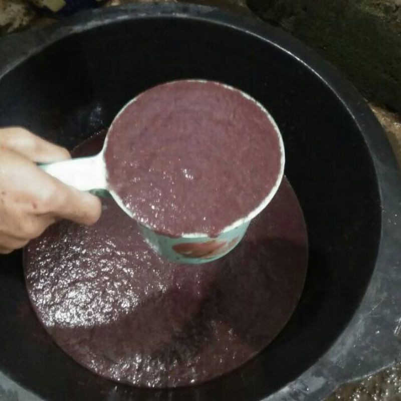 cacing sutra 1gayung pakan ikan cupang