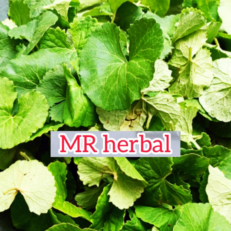 

Daun pegagan segar murni daun 250 gram