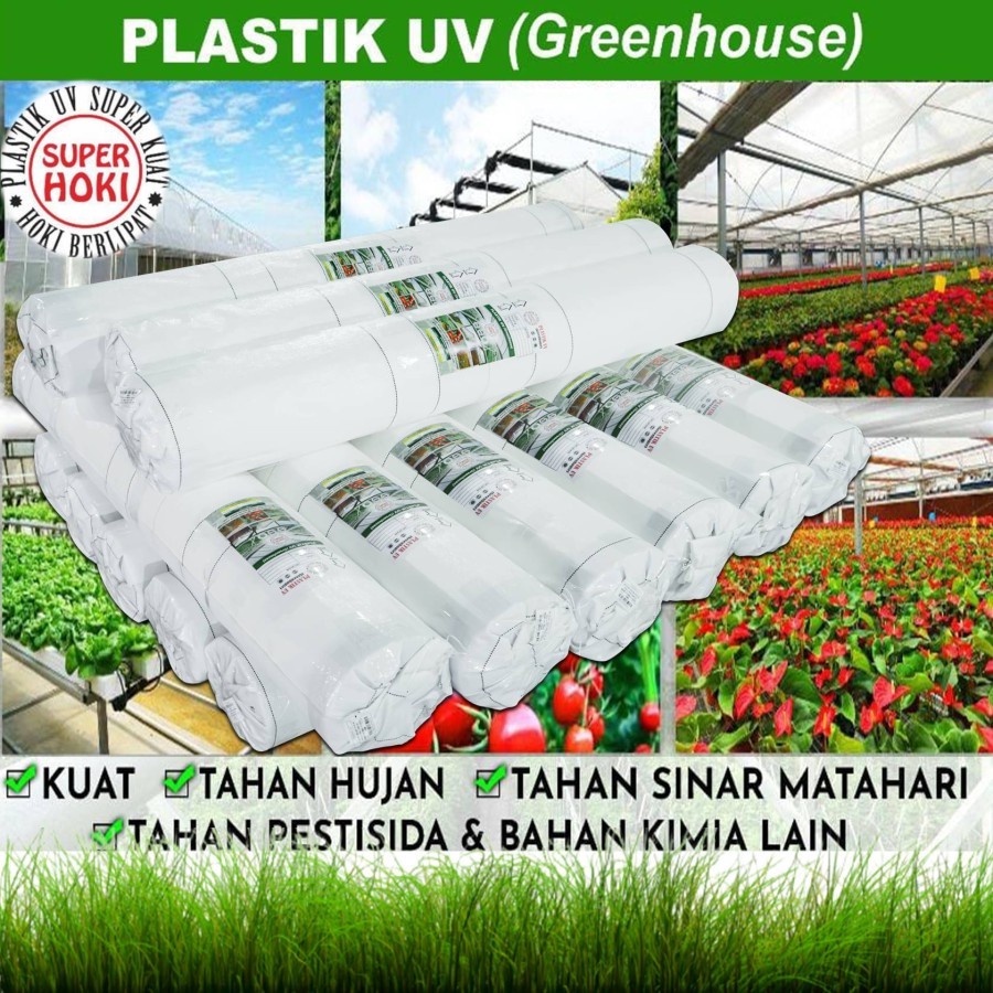 Jual Plastik Uv Super Hoki Lebar 3 Meter Shopee Indonesia