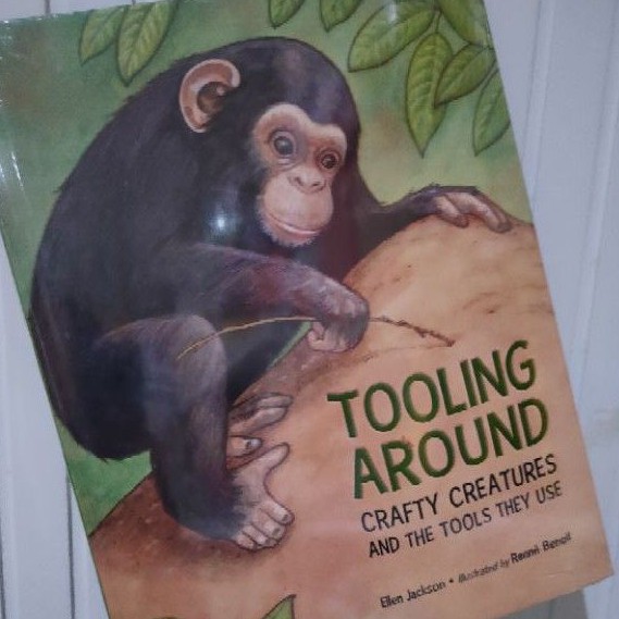 

tooling around book