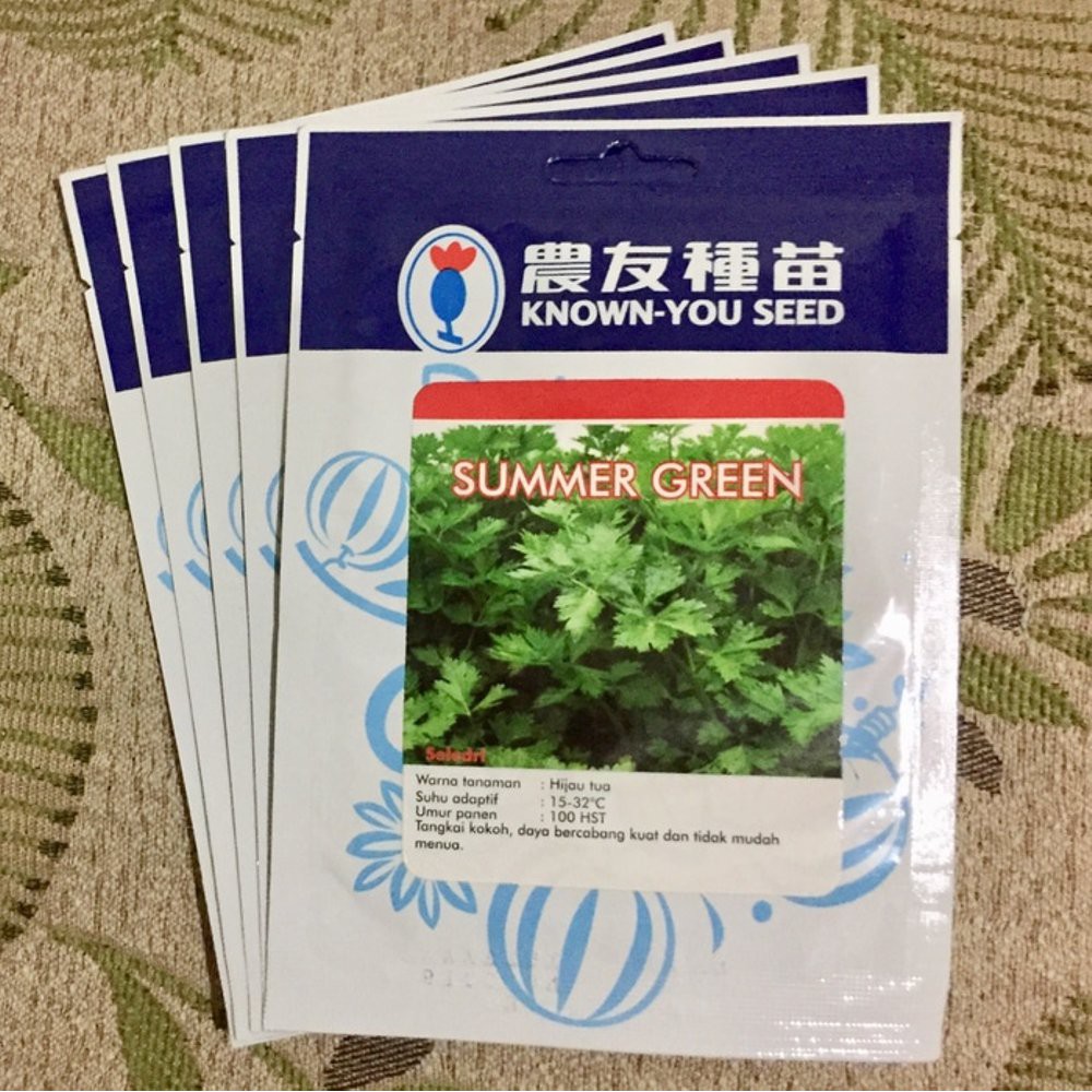 Benih Bibit Seledri SUMMER GREEN Known You Seed kemasan asli Ber
