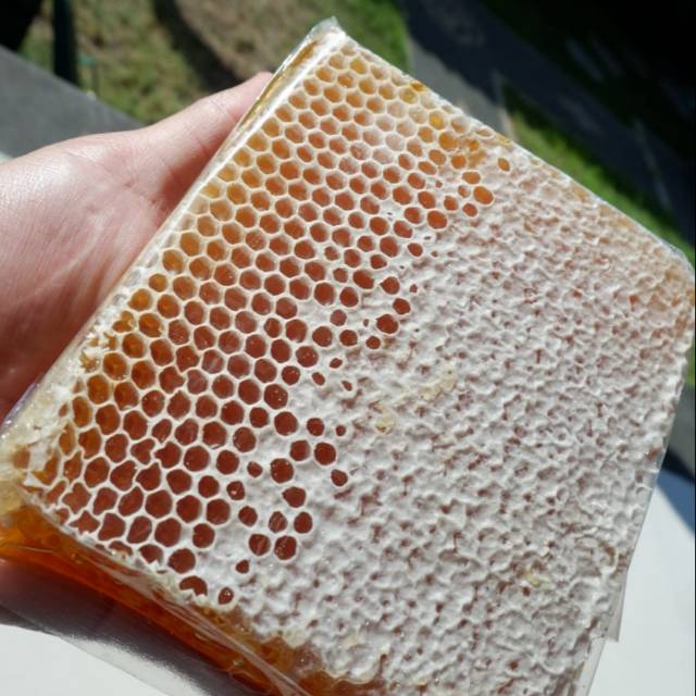 

Madusarang/Honeycomb