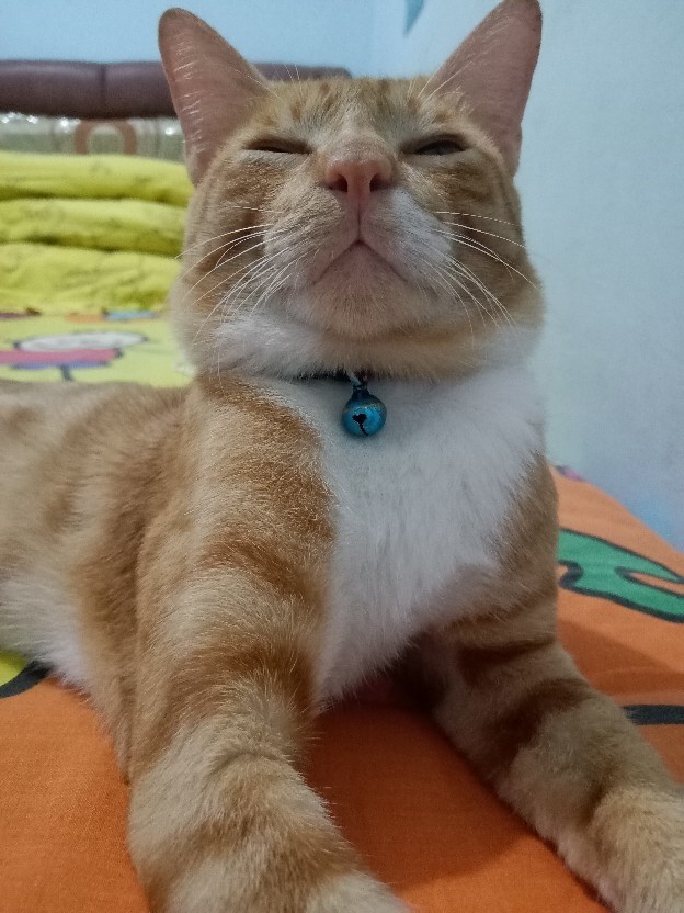 Rumah Atsiri - Fiber Stick For Reed Diffuser